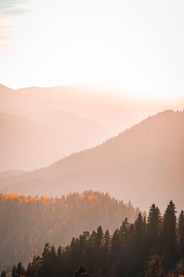 sunset, mountains, forest, fog, nature, view, mountain, trees, sunlight, twilight, evening, scenic, autumn, sunset, sunset, mountains, mountains, mountains, mountains, mountains, forest, forest, forest, forest, nature, view, mountain, mountain, mountain, mountain, autumn, autumn, autumn